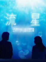 流星