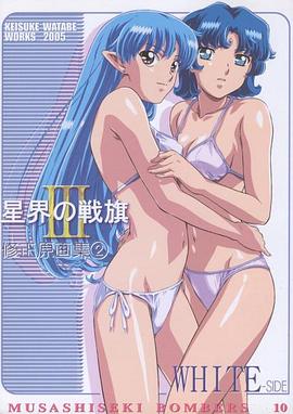 星界的战旗 特别篇