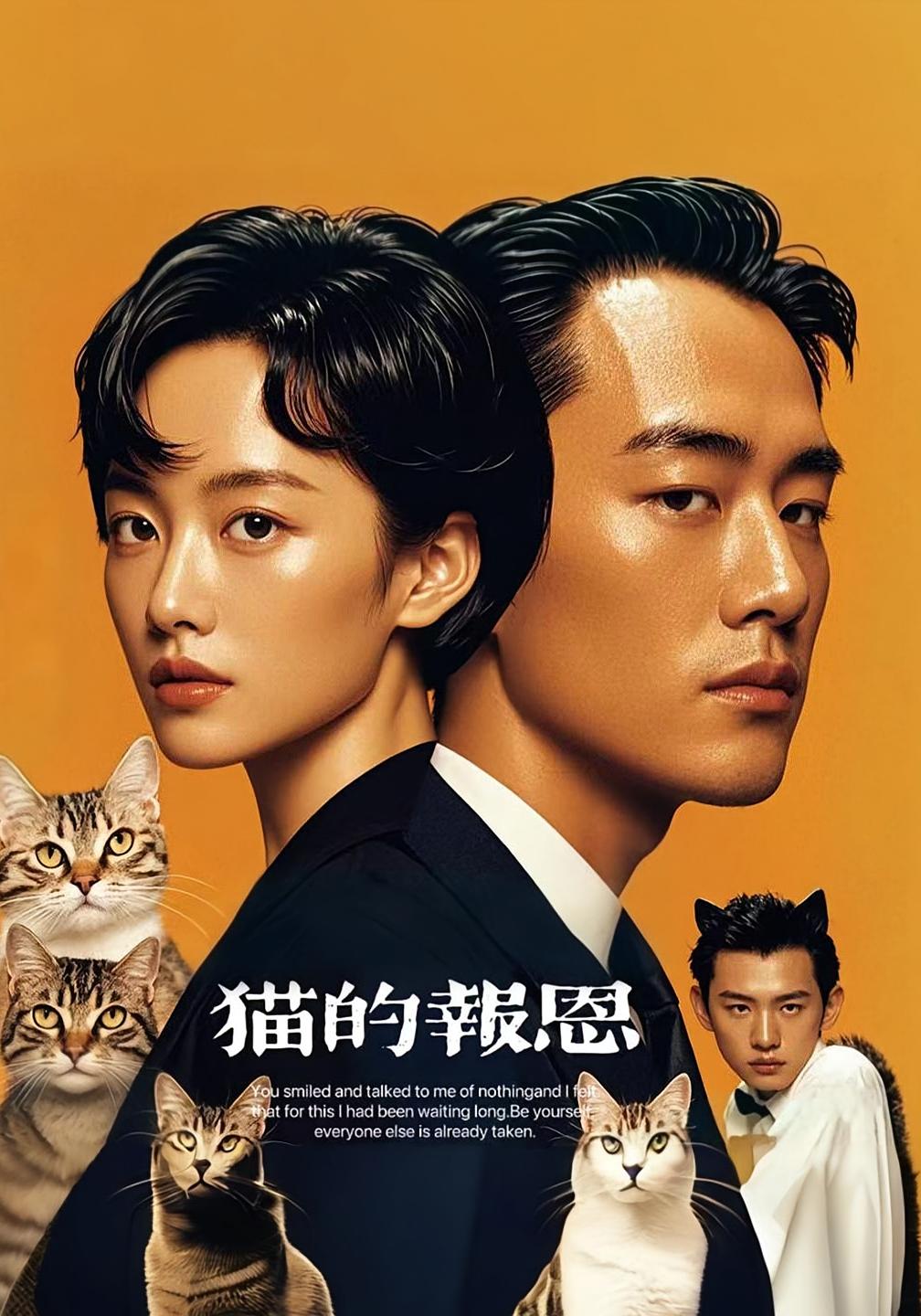 猫的报恩短剧版