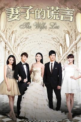 妻子的谎言2015