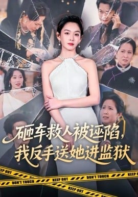 砸车救人被诬陷，我反手送她进监狱