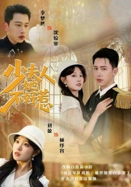 少夫人她不好惹